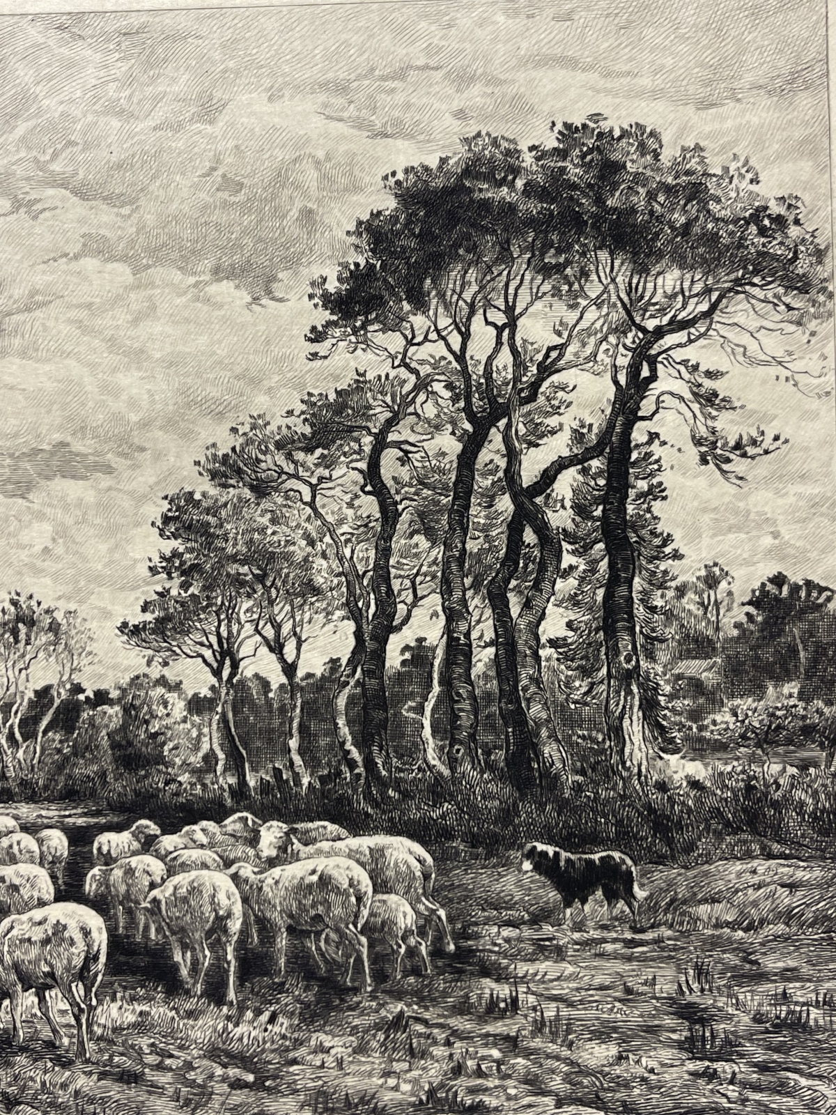 barbizon_school_charles_emile_jacque_shepherd_sheep_etching_proof_1911