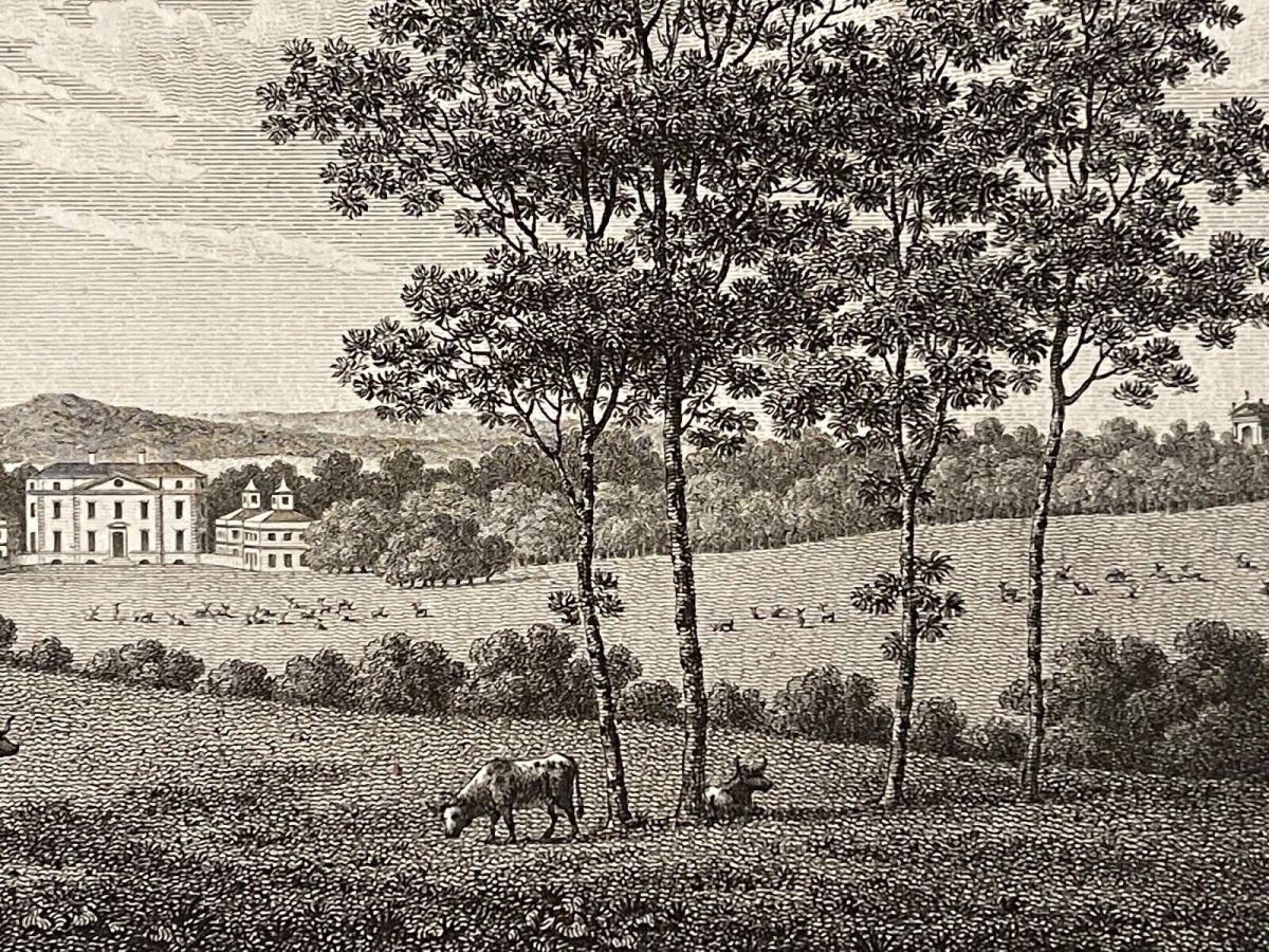 tehidy_park_in_cornwall_1779_united_kingdom