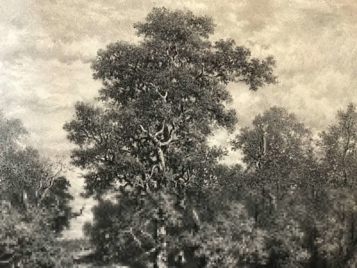 theodore_rousseau_la_mare_gravee_par_j_laurens_circa_1876_barbizon_litographie