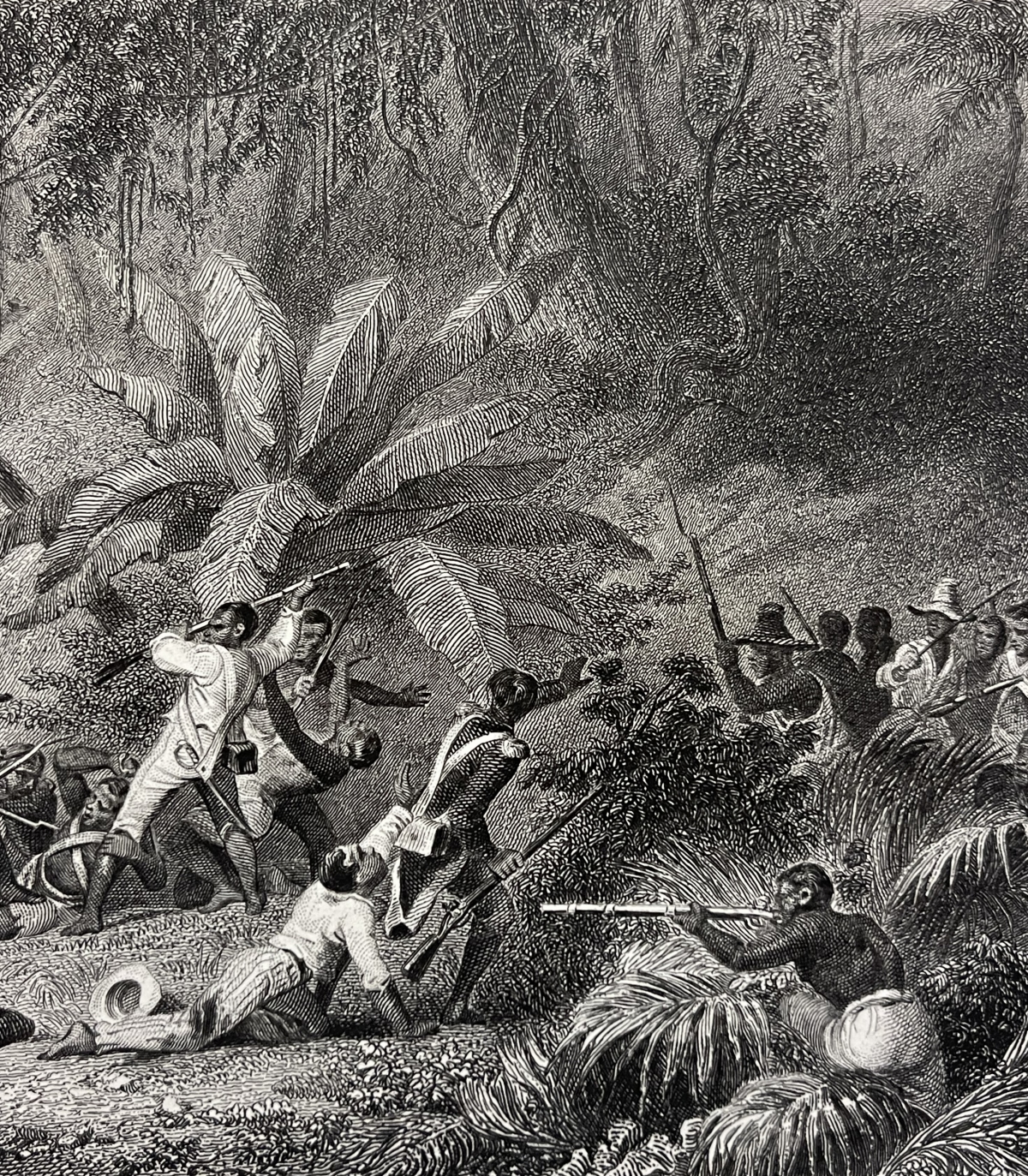 bataille_ravine_1802_a_couleuvres_retablissement_esclavagisme_esclave_1836_haiti