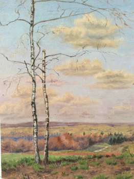 belgique_maurice_darney_bouleaux_bellefontaine_1911_tintigny_belfontinne-e-game