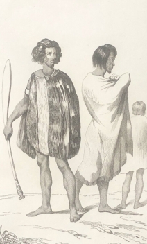 nouvelle-zelande_naturels_1836_new_zealand_oceanie