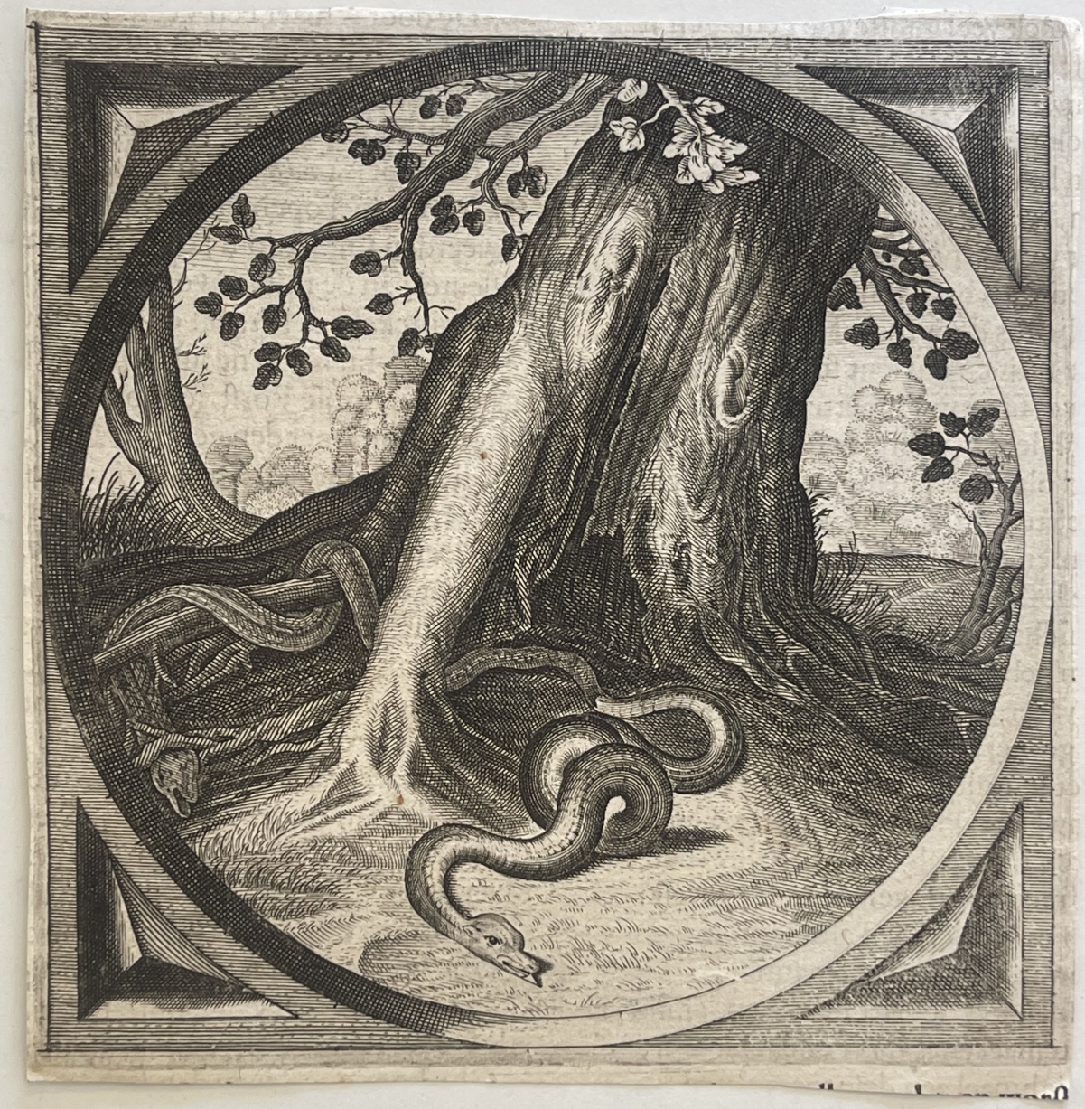 jacob_cats_adriaen_serpent_muant_vieillesse_sagesse_morale_hollandaise_1655