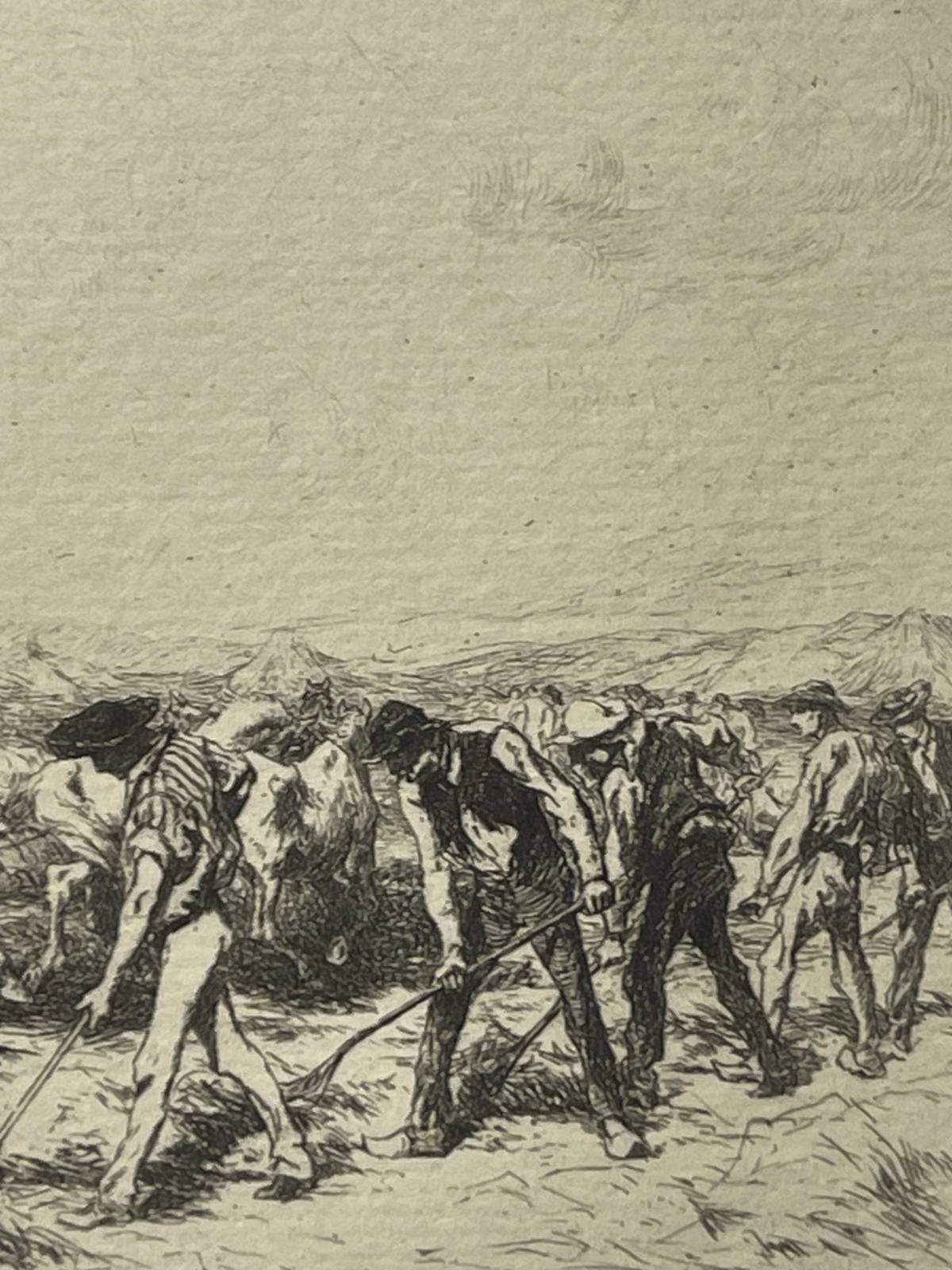 camargue_horses_threshing_original_drypoint_etching_1884_france_cheval_chevaux