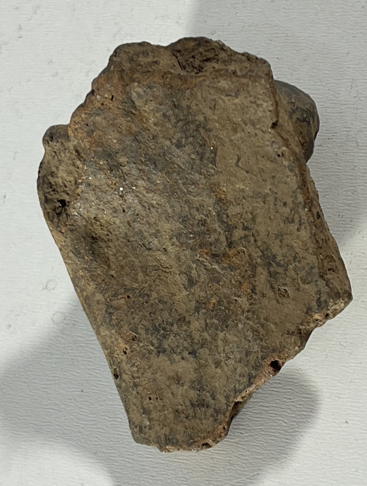 arts_premiers_tete_terre_cuite_caraibe_taino_ou_precolombien_copie