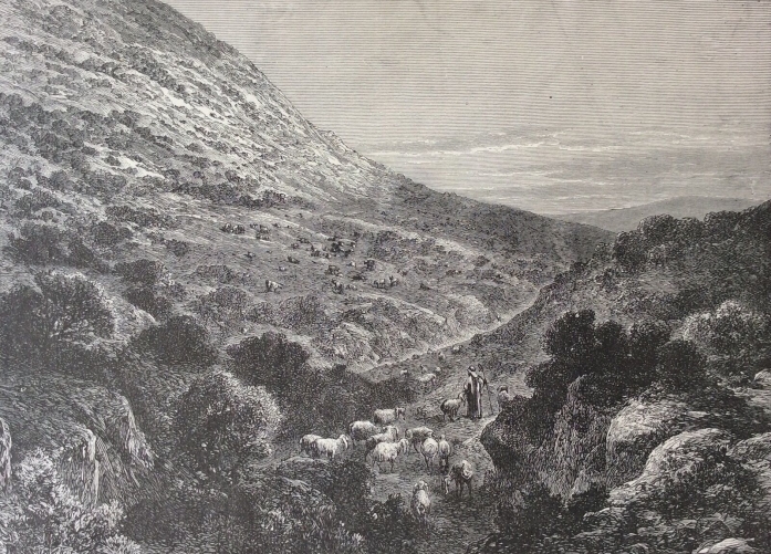 israel_palestine_les_pentes_du_thabor_gravure_sur_acier_1892