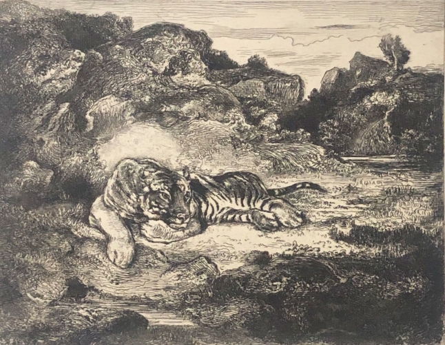 barye_tigre_couche__graveur,_charles_albert_waltne,_pointe_seche_1910__orientaliste_felin_