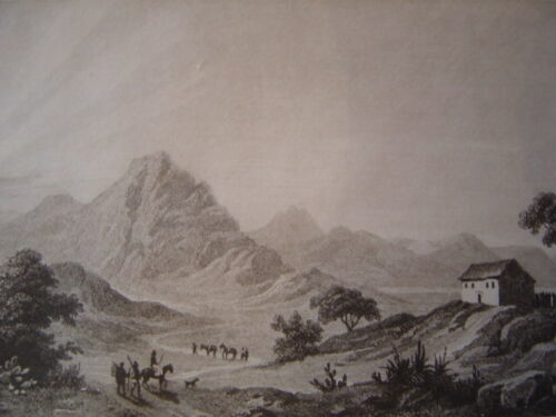 brasil_bresil__stambel,_gravure_sur_acier_de_1838