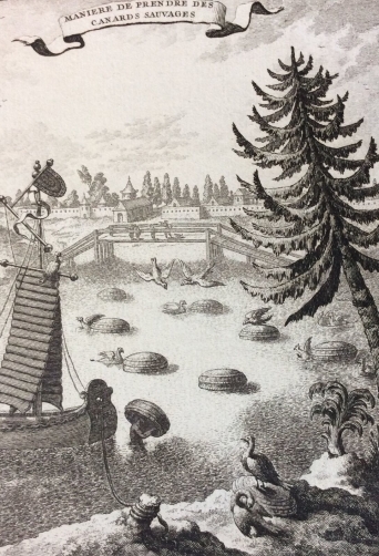 asie_maniere_de_prendre_des_canards_sauvages_gravure_1750_asia_canard