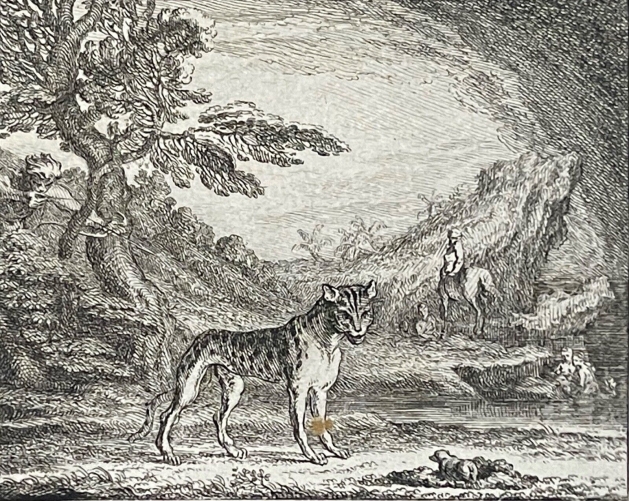le_linx_et_la_taupe_par_claude_gillot_1673-1722_gravure_de_1719_france