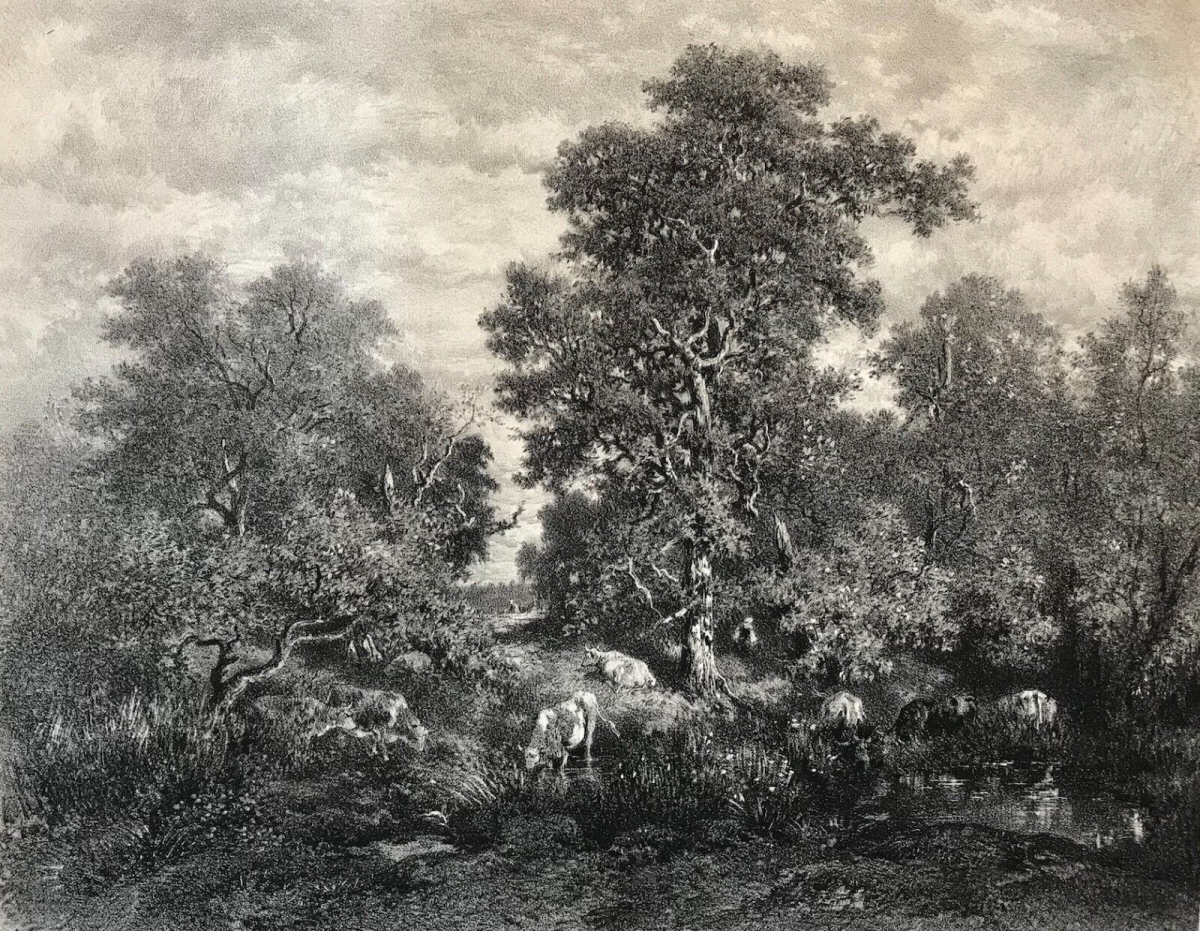 theodore_rousseau_la_mare_gravee_par_j_laurens_circa_1876_barbizon_litographie