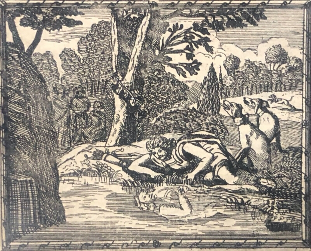 narcisse_amoureux_de_lui-meme_ovide_1697_graveur_franz_ertinger_1640-1710_fleur