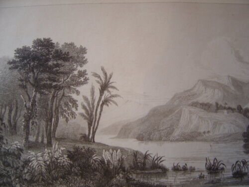 brasil_bresil__riviere_des_amazones_gravure_sur_acier_de_1838__amazonie