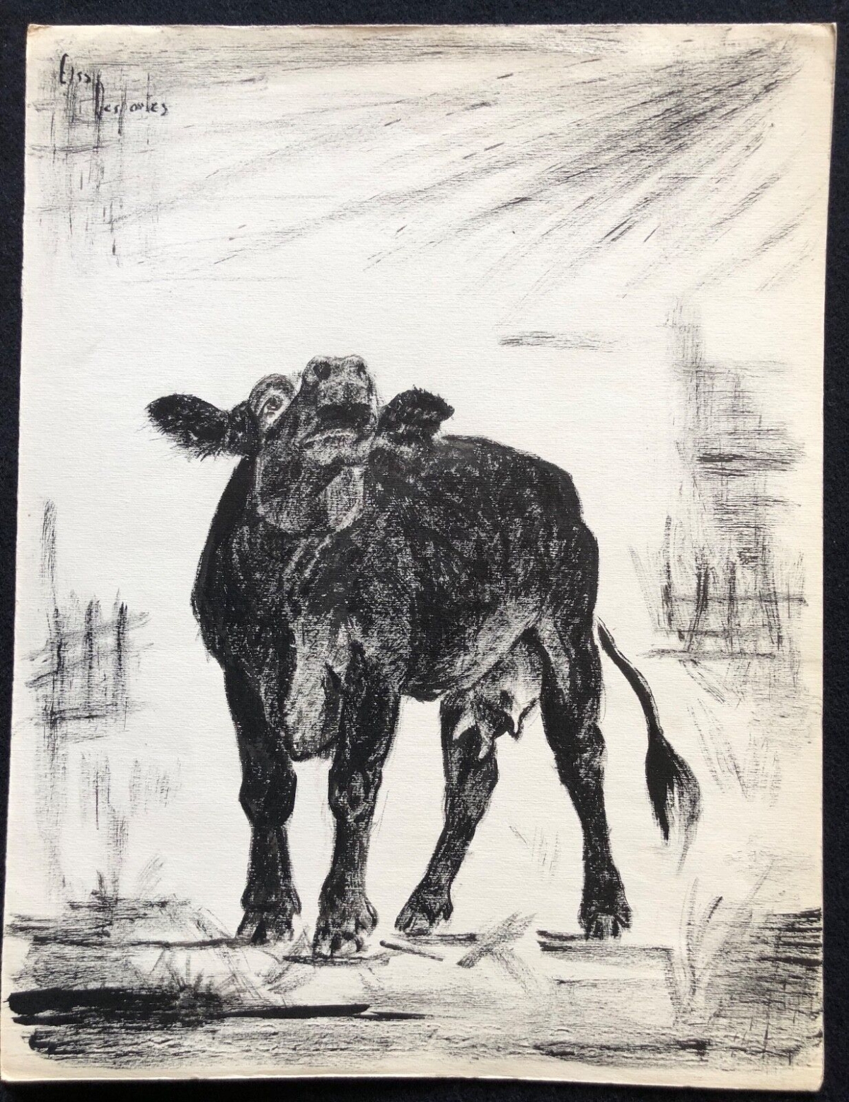 vache_bovin_encre_signee_elsa_desportes_peintre_animalier_poisson_cir_1960