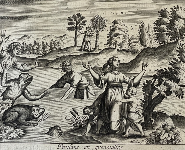 latone_transforme_les_paysans_lyciens_en_grenouilles_1619_dapres_tempesta