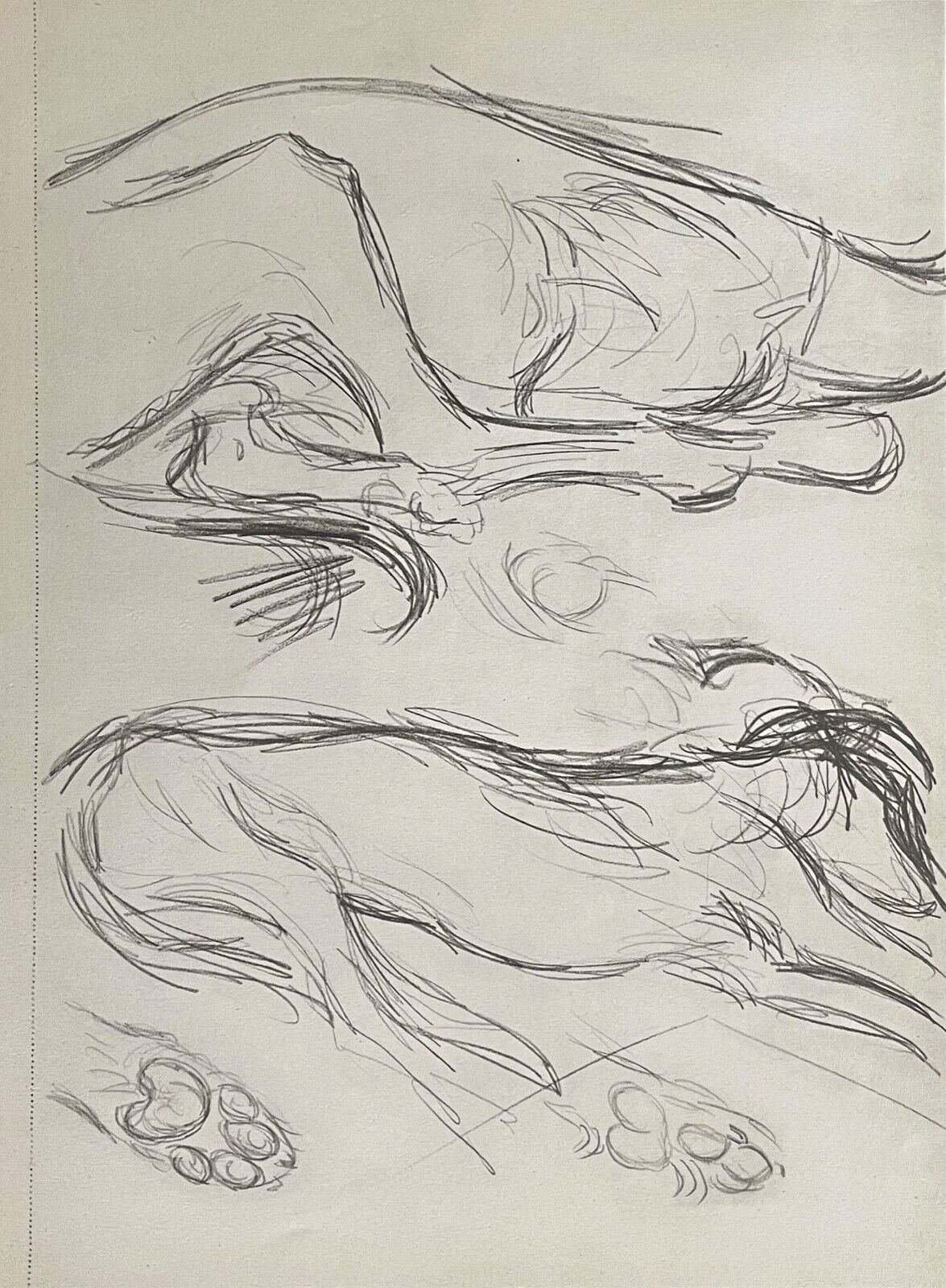 picasso_lithographie_de_dessin_tirage_de_1947_etude_de_chien