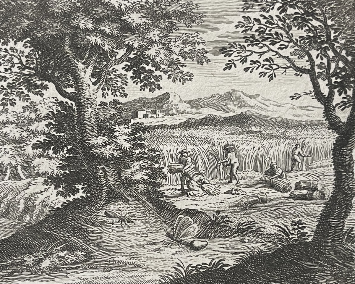 la_chenille_et_la_fourmi_claude_gillot_1673-1722_fable_moisson_1719