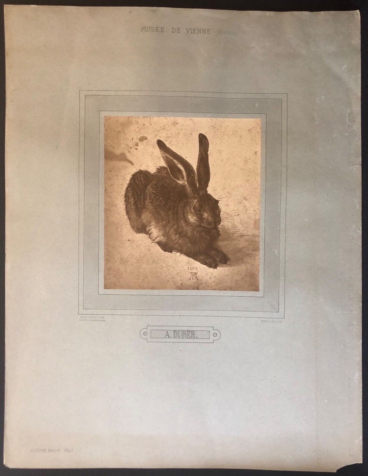 albrecht_dürer_lapin_photographie_xix_adolphe_braun_procedé_poitevin_et_swan_rr