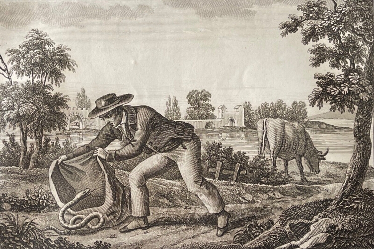 lhomme_et_la_couleuvre_lithographie_1830_serpent_d???apres_jean_de_la_fontaine