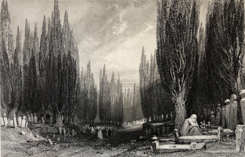 turquie_the_great_cemetery_of_scutari_istanbul_constantinople_türkiye_cimetiere