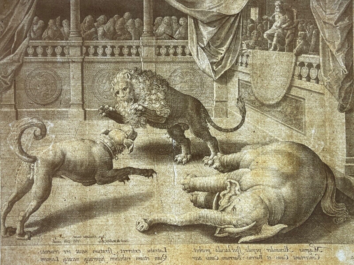 alexandre_combat_elephant_lion_chien_galle_jan_van_der_straet_mallery_circa_1595