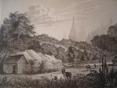 brasil_bresil__montagnes_des_orgues__gravure_sur_acier_de_1838_
