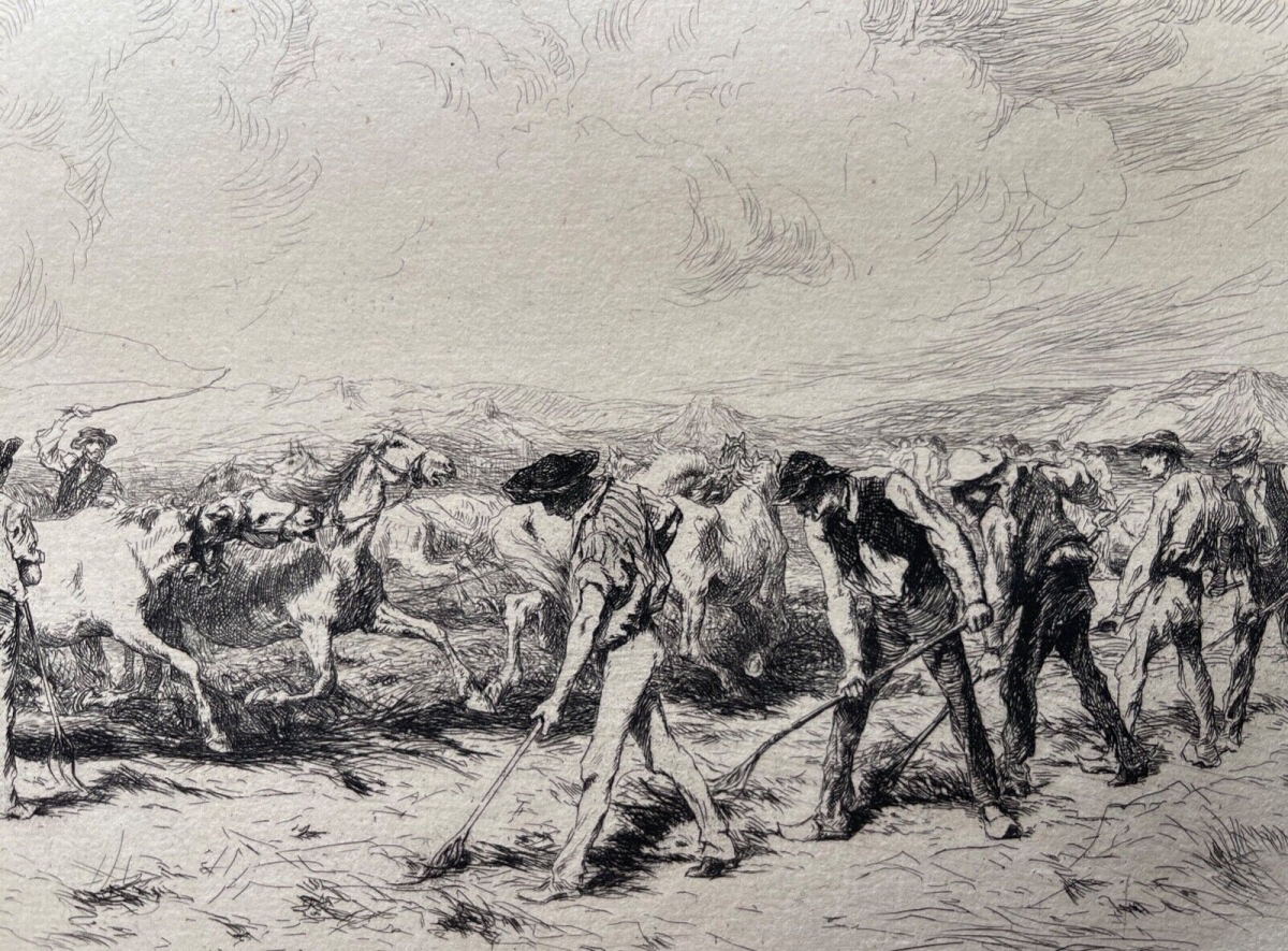 foulaison_en_camargue_provence_pointe_seche_burnand_1884_chevaux_cheval_france