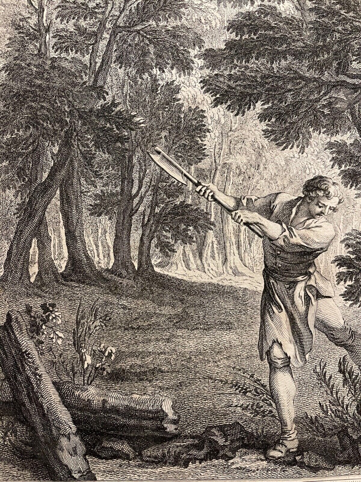 la_foret_et_le_bucheron_jean_de_la_fontaine_par_oudry_1783_graveur_lempereur