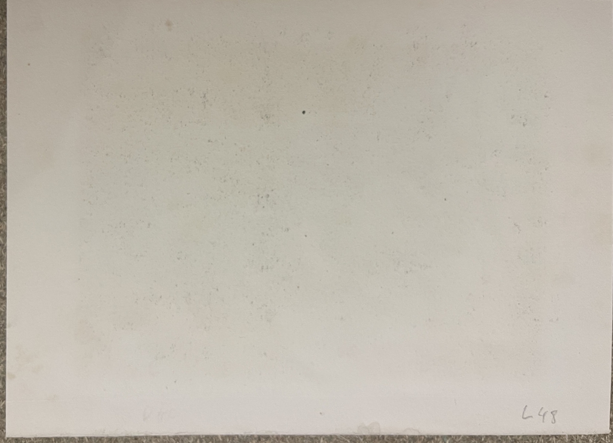 bataille_ravine_1802_a_couleuvres_retablissement_esclavagisme_esclave_1836_haiti