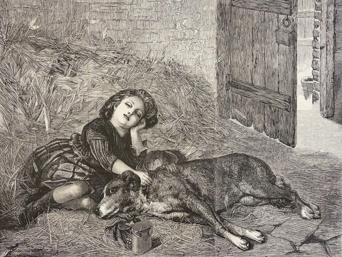 bonavia_enfant_et_chien_labri_xylographie_de_1867_france_ble_europe