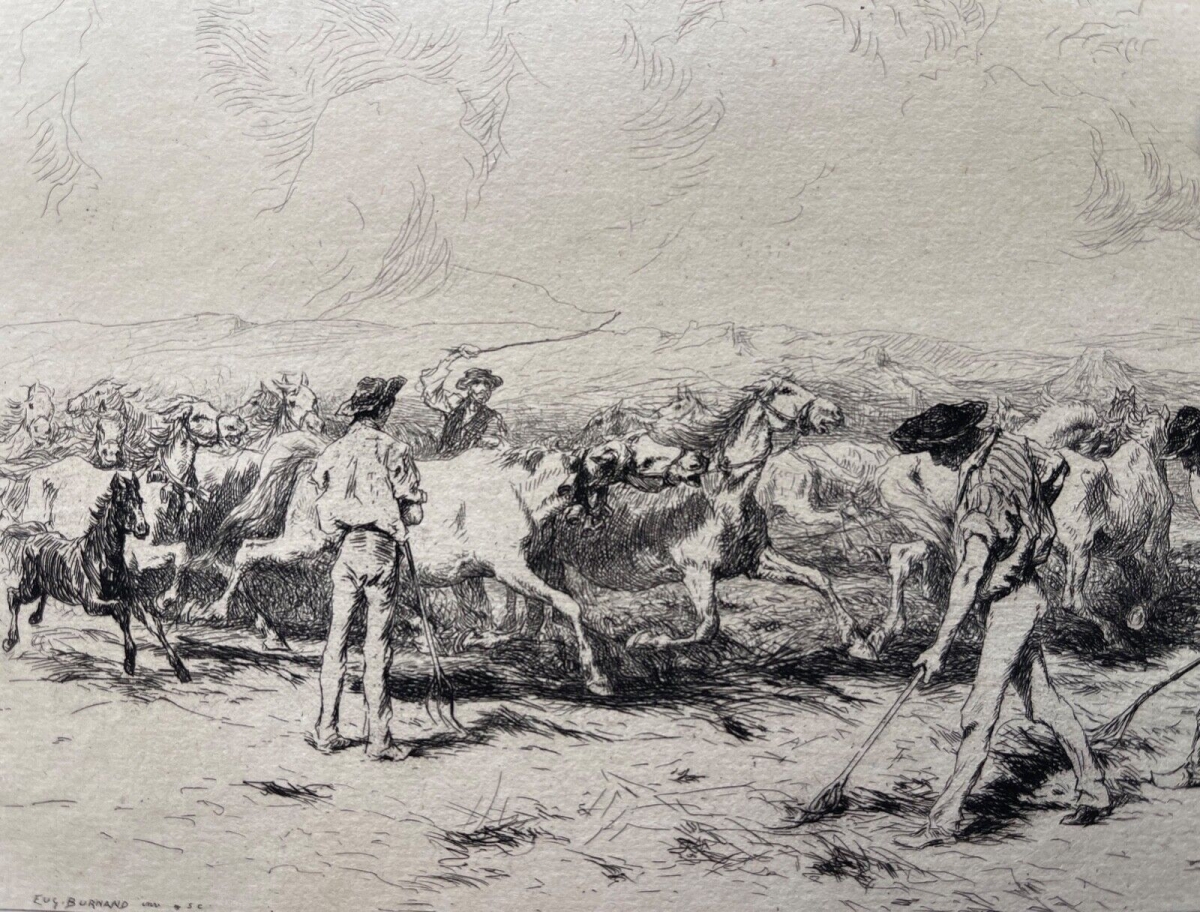 foulaison_en_camargue_provence_pointe_seche_burnand_1884_chevaux_cheval_france