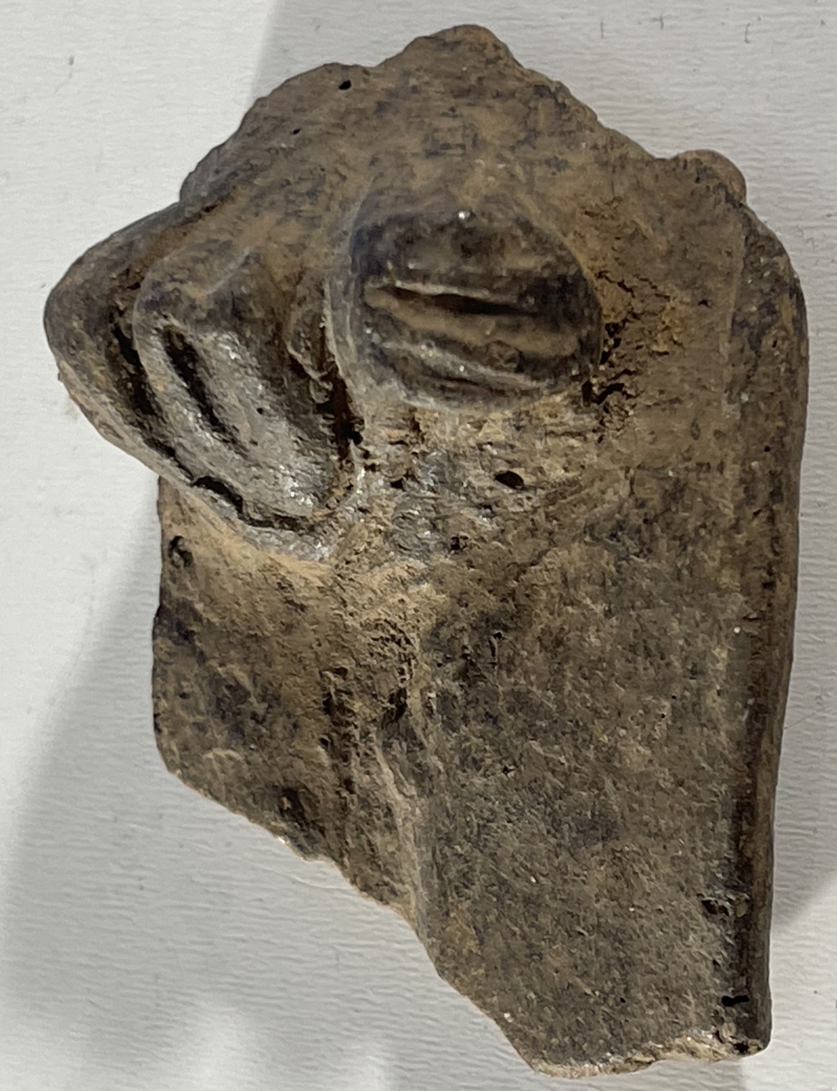 arts_premiers_tete_terre_cuite_caraibe_taino_ou_precolombien_copie