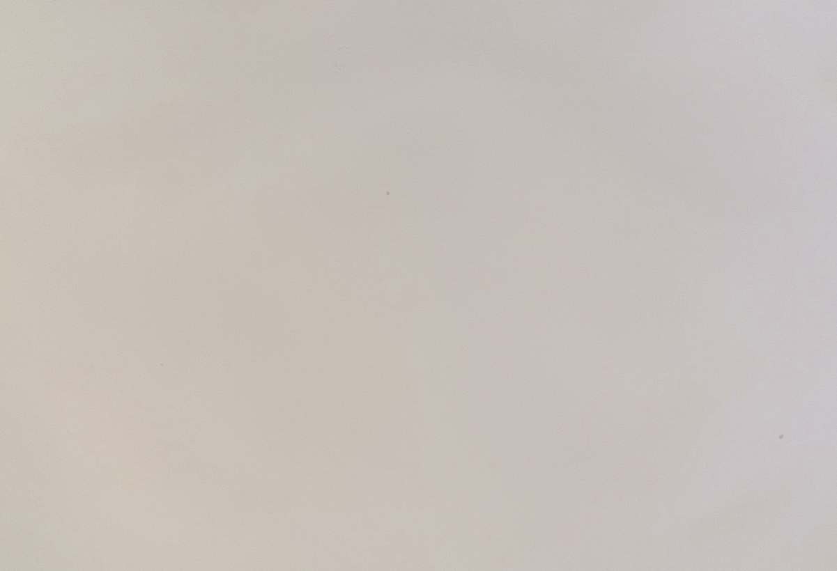 chamonix_valley_mont_blanc_france_1864_antique_lithograph_haute-savoie_france