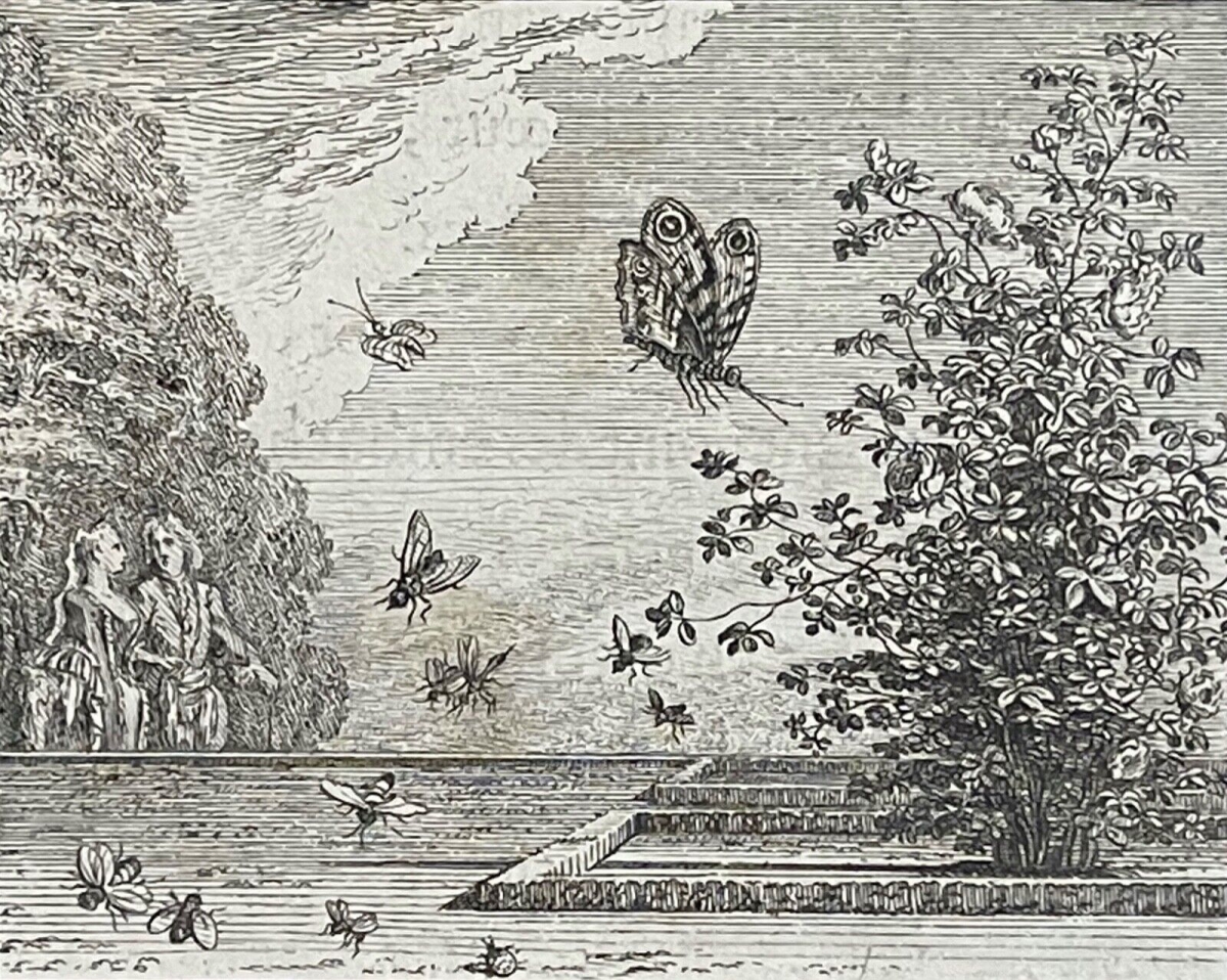 la_rose_et_le_papillon_par_claude_gillot_1673-1722_gravure_de_1719_france