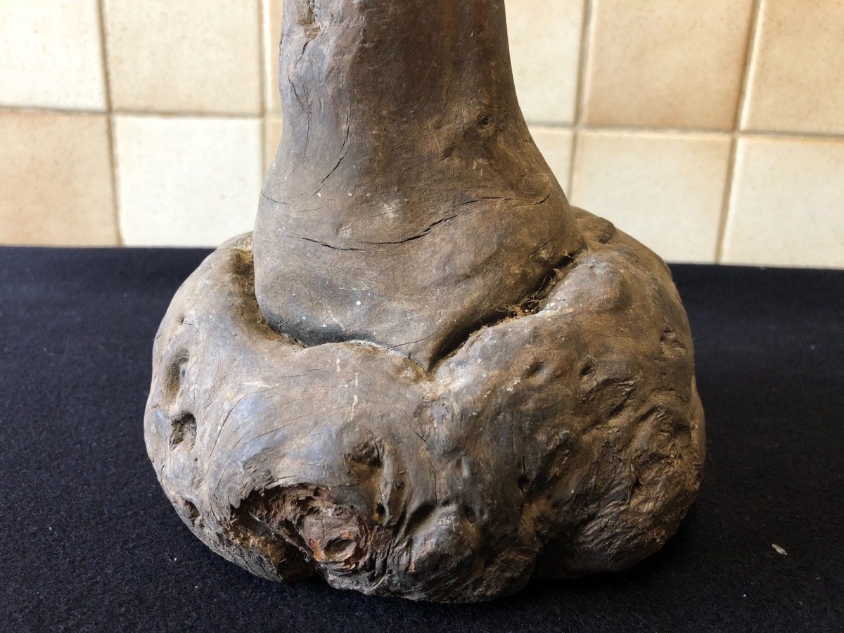 fidjian_art_bois_et_boule_en_racine_de_nokonodo_iles_fidji_matanitu_ko_viti