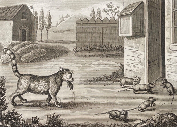 la_ligue_des_rats_lithographie_circa_1830_rat_chat_d???apres_jean_de_la_fontaine