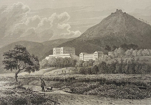 villa_ludwigshohe_edenkoben_allemagne_gravure_1863