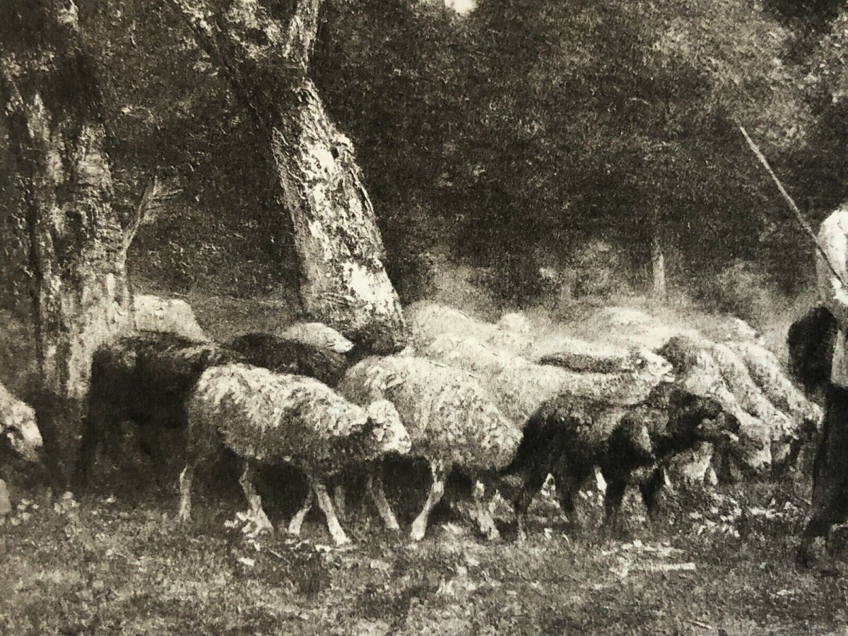 barbizon_charles_emile_jacque_1813-1894_la_pastorale_helio_g_petit