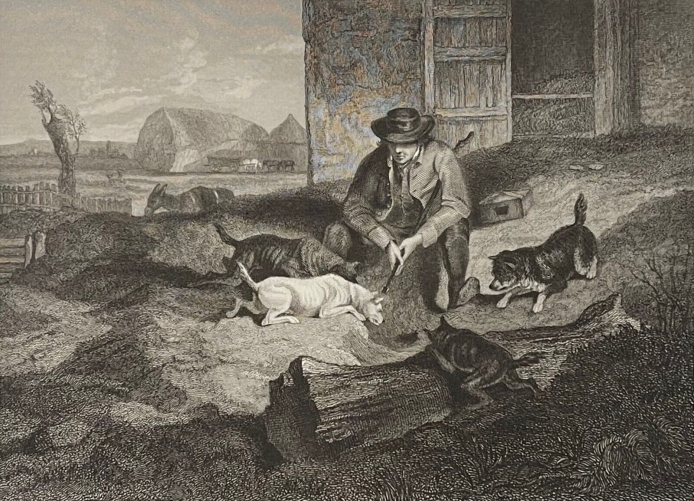 chasse_aux_rats_chien_norfolk_terrier_charles_hancock_graveur_englelheart_1837