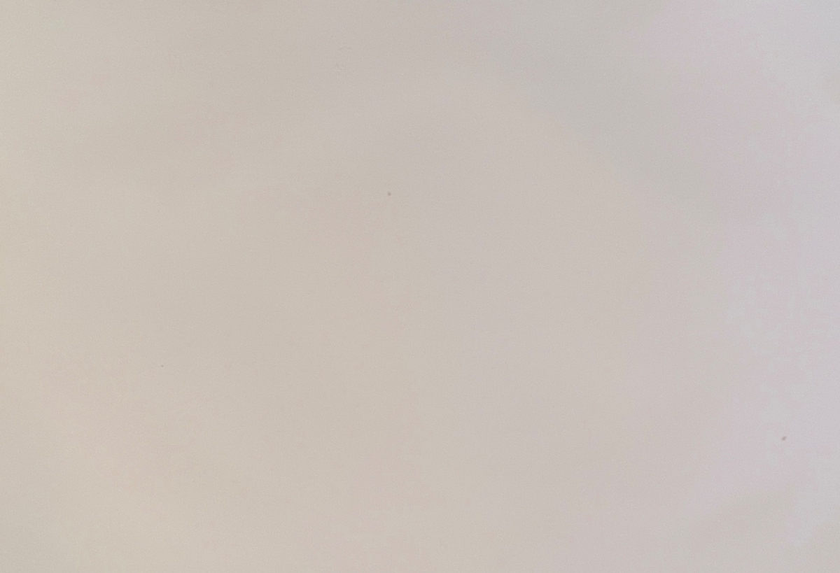 thonon_allinges_castle_ruins_french_alps_haute-savoie_lithograph_french_1864