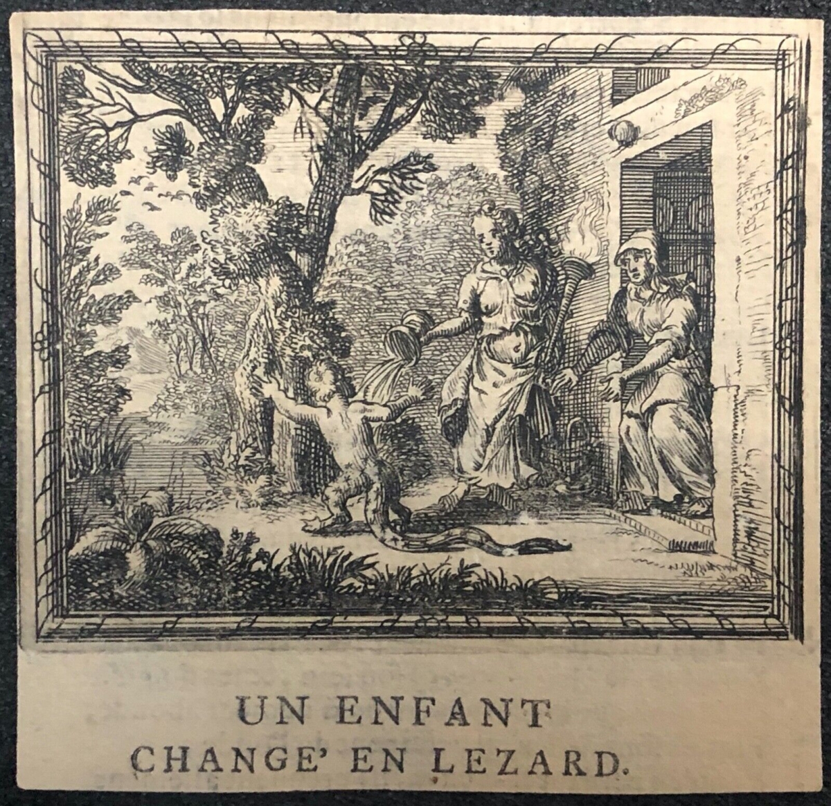 enfant_change_en_lezard_metamorphoses_ovide_1697_par_franz_ertinger