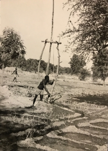 cameroun_rhumsiki__afrique_irrigation_kapsiki__circa_1950__argentique_cameroon