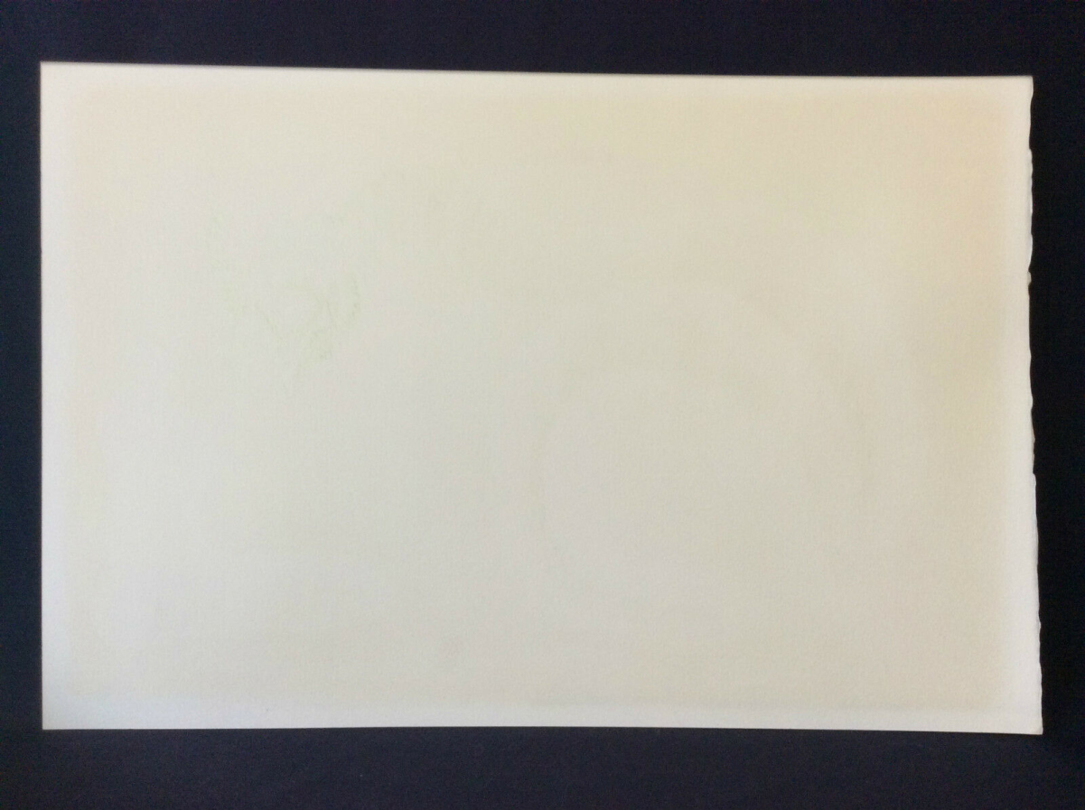 georges_brassens_lithographie_originale_couleur_illustration_par_pierre_cadiou