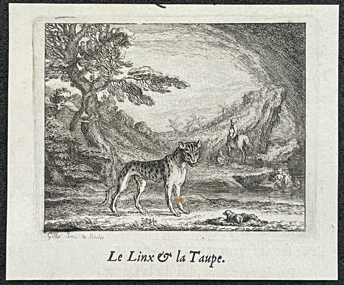 le_linx_et_la_taupe_par_claude_gillot_1673-1722_gravure_de_1719_france