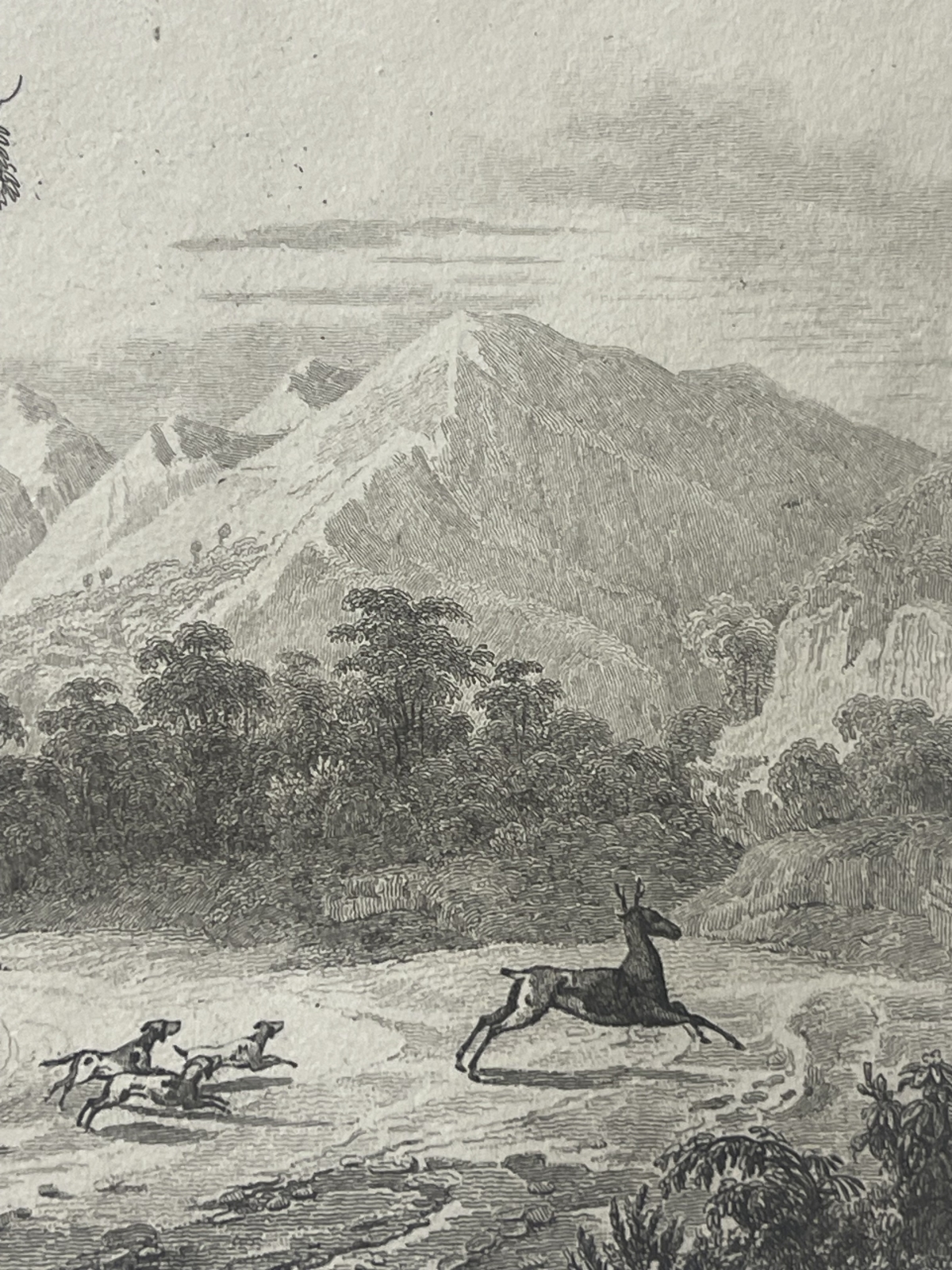 philippines_mariveles_deer_hunt_1836_antique_steel_engraving_danvin_cholet
