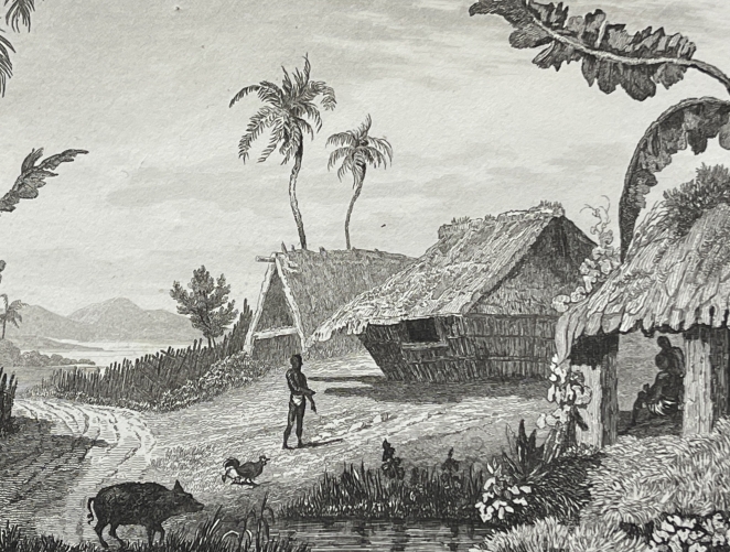 tonga_engraving_namuka_rotterdam_island_village_pacific_ocean_1836_oceanie