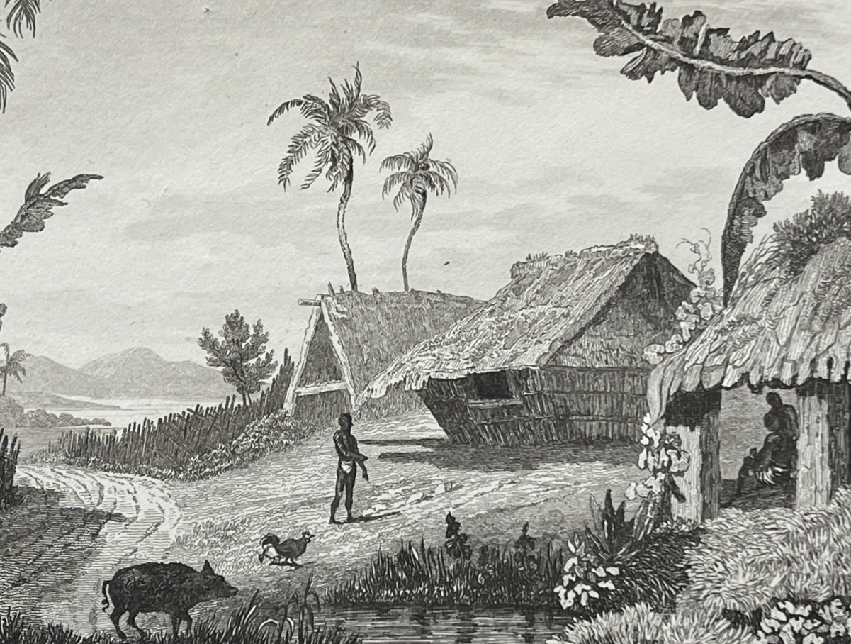 tonga_engraving_namuka_rotterdam_island_village_pacific_ocean_1836_oceanie