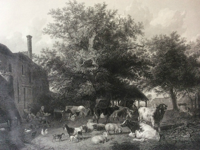 the_farm_yard_estampe_gravee_par_j__godfrey_dapres_t__s__cooper_a_r_a_1852