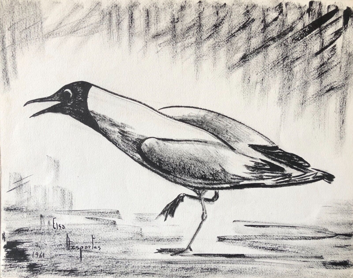 pie_bavarde_encre_signee_elsa_desportes_peintre_animalier_1961_oiseau