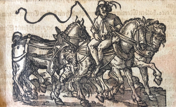 jost_amman_1539_-_1591_fronspergers_kriegsbuch_1573_xylographie_cheval_chevaux